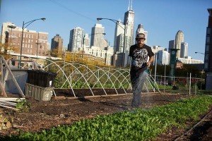 earth-day-urban-farming-chicago_51626_600x450_1